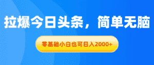 (11077期)拉爆今日头条,简单无脑,零基础小白也可日入2000+-优优云创网