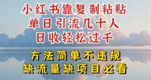 小红书靠复制粘贴单日引流几十人目收轻松过千,方法简单不违规-优优云创网