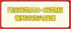 元宝宠物从0~1宠物短视频带货实战课-优优云创网