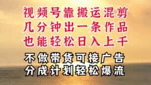 (11087期)深层揭秘视频号项目,是如何靠搬运混剪做到日入过千上万的,带你轻松爆…-优优云创网