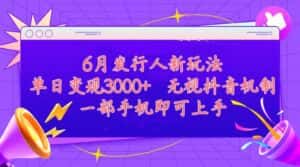 (11092期)发行人计划最新玩法,单日变现3000+,简单好上手,内容比较干货,看完…-优优云创网