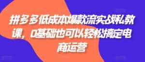 拼多多低成本爆款流实战私教课,0基础也可以轻松搞定电商运营-优优云创网
