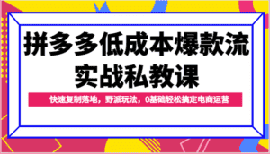 拼多多低成本爆款流实战私教课,快速复制落地,野派玩法,0基础轻松搞定电商运营-优优云创网