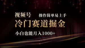 (11125期)2024视频号三国冷门赛道掘金,操作简单轻松上手,小白也能月入1000+-优优云创网