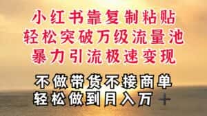 (11139期)深层揭秘小红书,靠复制粘贴,一周突破万级流量池,无脑搬运,暴力引流…-优优云创网