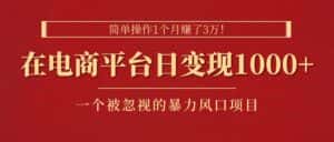 （11160期）简单操作1个月赚了3万！在电商平台日变现1000+！一个被忽视的暴力风口…-优优云创网
