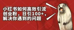 小红书如何高效引流创业粉,日引100+,解决你遇到的问题-优优云创网
