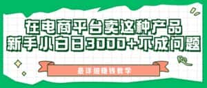 (11206期)最新在电商平台发布这种产品,新手小白日入3000+不成问题,最详细赚钱教学-优优云创网