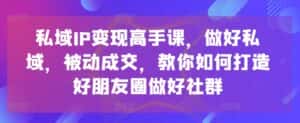 私域IP变现高手课,做好私域,被动成交,教你如何打造好朋友圈做好社群-优优云创网