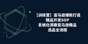（11210期）【训练营】亚马逊爆款打造之精品开发SOP，系统化洞察亚马逊精品选品全流程-优优云创网