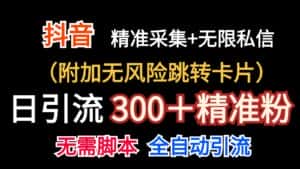 抖音无限暴力私信机（附加无风险跳转卡片）日引300＋精准粉-优优云创网
