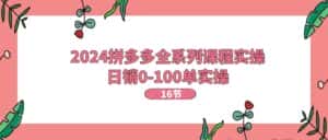 2024拼多多全系列课程实操，日销0-100单实操【16节课】-优优云创网