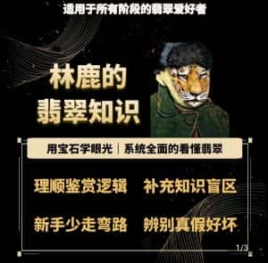 林鹿的翡翠知识，​用宝石眼光，系统全面的看懂翡翠-优优云创网