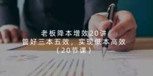 （11238期）老板 降本增效20讲，管好 三本五效，实现低本高效（20节课）-优优云创网