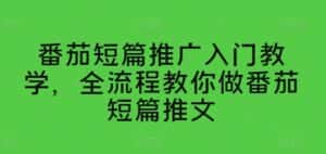 番茄短篇推广入门教学，全流程教你做番茄短篇推文-优优云创网