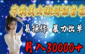(11249期)车载美女撒娇语音包,执行就出单,月入3000+,小白看完课程就能马上实操-优优云创网