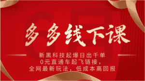 多多线下课:新黑科技起爆日出千单,0元直通车起飞链接,全网最新玩法,低成本高回报-优优云创网