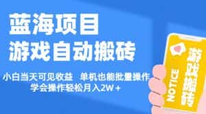 （11265期）【蓝海项目】游戏自动搬砖 小白当天可见收益 单机也能批量操作 学会操…-优优云创网