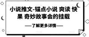 小说推文-锚点小说 爽读 快果 奇妙故事会的挂载-优优云创网
