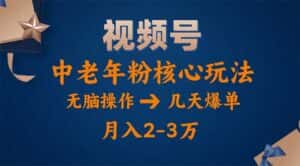 (11288期)视频号火爆玩法,高端中老年粉核心打法,无脑操作,一天十分钟,月入两万-优优云创网