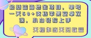(11287期)最新蓝海撸金项目,单号一天50+, 支持苹果安卓双端,小白轻松上手 当…-优优云创网