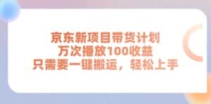 （11300期）京东新项目带货计划，万次播放100收益，只需要一键搬运，轻松上手-优优云创网