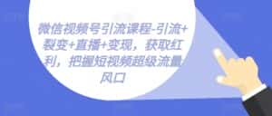 微信视频号引流课程-引流+裂变+直播+变现，获取红利，把握短视频超级流量风口-优优云创网