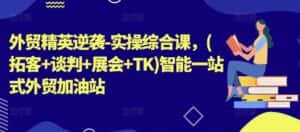外贸精英逆袭-实操综合课,(拓客+谈判+展会+TK)智能一站式外贸加油站-优优云创网