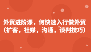外贸进阶课,帮助你了解如何快速入行做外贸(扩客,社媒,沟通,谈判技巧)更新180节-优优云创网