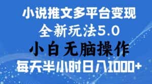 （11323期）2024年6月份一件分发加持小说推文暴力玩法 新手小白无脑操作日入1000+ …-优优云创网