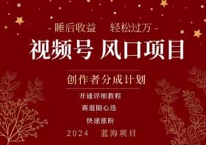 （11331期）拥有睡眠收益的微信视频号大风口项目，轻松月入过万+，多赛道选择，可…-优优云创网