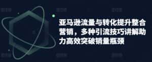 亚马逊流量与转化提升整合营销,多种引流技巧讲解助力高效突破销量瓶颈-优优云创网