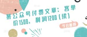 某公众号付费文章:客单价1500,利润1200(续),市场几乎可以说是空白的-优优云创网