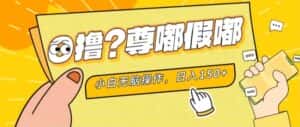 最新项目 暴力0撸 小白无脑操作 无限放大 支持矩阵 单机日入280+-优优云创网