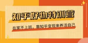 知乎好物特训营,在家不上班,靠知乎变现来养活自己(16节)-优优云创网
