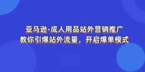 (11398期)亚马逊-成人用品 站外营销推广 教你引爆站外流量,开启爆单模式-优优云创网