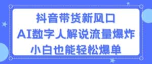 （11401期）抖音带货新风口，AI数字人解说，流量爆炸，小白也能轻松爆单-优优云创网