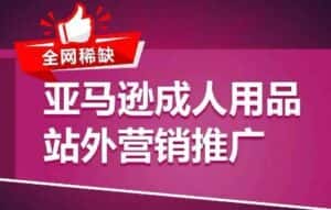 全网稀缺!亚马逊成人用品站外营销推广,教你引爆站外流量,开启爆单模式-优优云创网