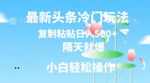 (11414期)最新头条冷门玩法,隔天就爆,复制粘贴日入500+-优优云创网