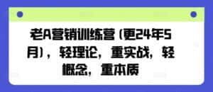 老A营销训练营(更24年6月),轻理论,重实战,轻概念,重本质-优优云创网