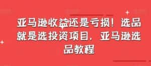 亚马逊收益还是亏损!选品就是选投资项目,亚马逊选品教程-优优云创网