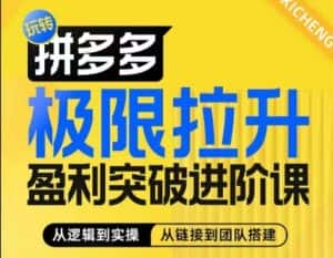 拼多多极限拉升盈利突破进阶课,从算法到玩法,从玩法到团队搭建,体系化系统性帮助商家实现利润提升-优优云创网
