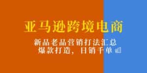 (11433期)亚马逊跨境电商:新品老品营销打法汇总,爆款打造,日销千单-优优云创网