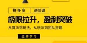 （11435期）拼多多·进阶课：极限拉升/盈利突破：从算法到玩法 从玩法到团队搭建-18节-优优云创网