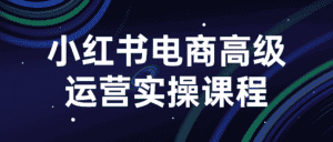 小红书电商高级运营实操课程-优优云创网