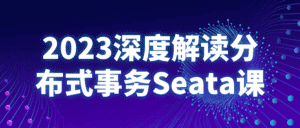 2023深度解读分布式事务Seata课-优优云创网