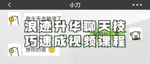浪迹升华聊天技巧速成视频课程-优优云创网
