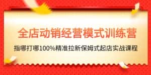 (11460期)全店动销-经营模式训练营,指哪打哪100%精准拉新保姆式起店实战课程-优优云创网