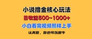 （11461期）小说撸金核心玩法，日收益500-1000+，小白看完照样上手，0成本有手就行-优优云创网