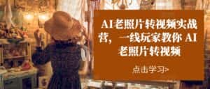 AI老照片转视频实战营,一线玩家教你AI老照片转视频-优优云创网